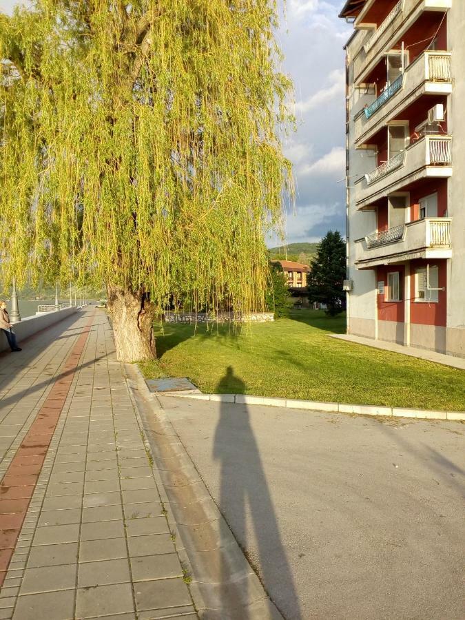 Apartman Bogojevic Golubac Eksteriør billede